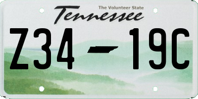 TN license plate Z3419C