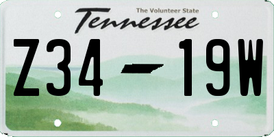 TN license plate Z3419W