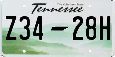 TN license plate Z3428H
