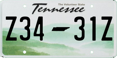 TN license plate Z3431Z