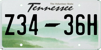 TN license plate Z3436H