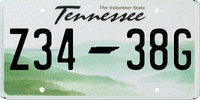 TN license plate Z3438G