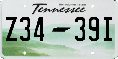 TN license plate Z3439I