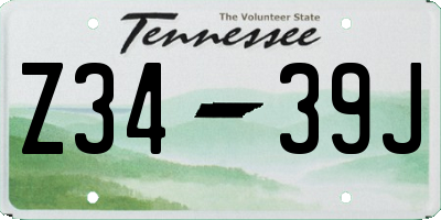 TN license plate Z3439J