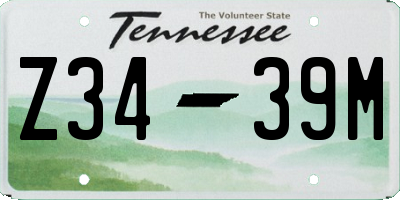 TN license plate Z3439M