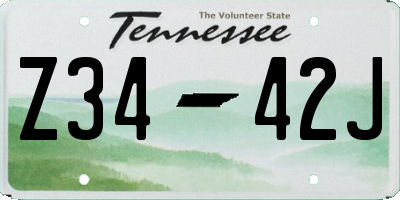 TN license plate Z3442J