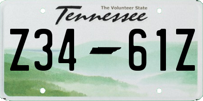 TN license plate Z3461Z