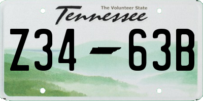 TN license plate Z3463B