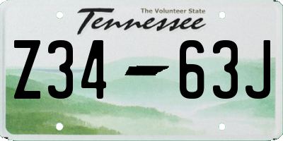 TN license plate Z3463J