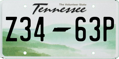 TN license plate Z3463P