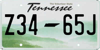 TN license plate Z3465J