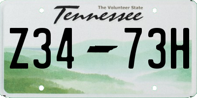 TN license plate Z3473H