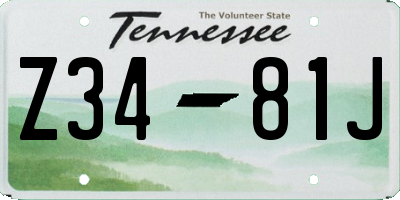 TN license plate Z3481J