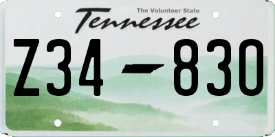 TN license plate Z3483O