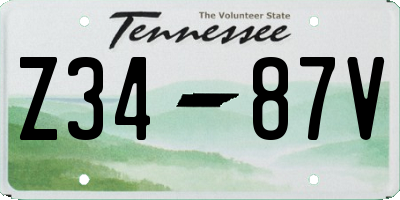 TN license plate Z3487V