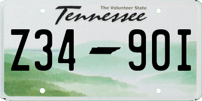 TN license plate Z3490I