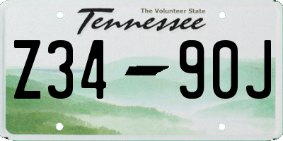 TN license plate Z3490J