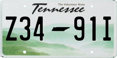 TN license plate Z3491I