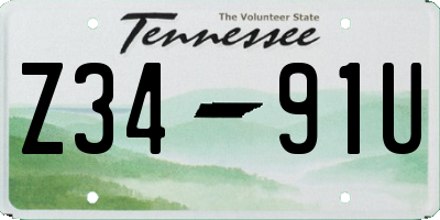 TN license plate Z3491U