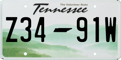 TN license plate Z3491W