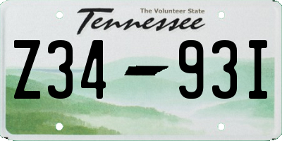 TN license plate Z3493I