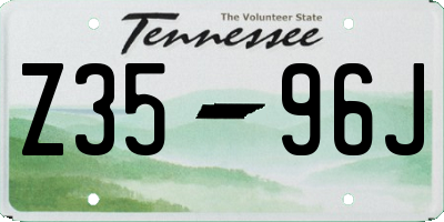 TN license plate Z3596J