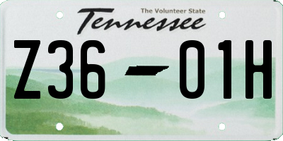 TN license plate Z3601H