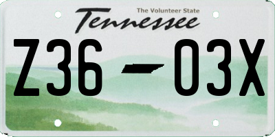 TN license plate Z3603X