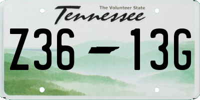 TN license plate Z3613G