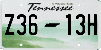 TN license plate Z3613H