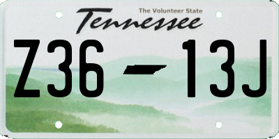 TN license plate Z3613J