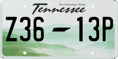 TN license plate Z3613P