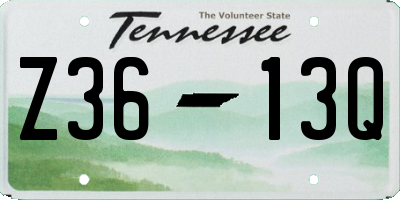 TN license plate Z3613Q