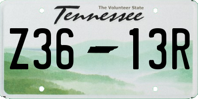 TN license plate Z3613R
