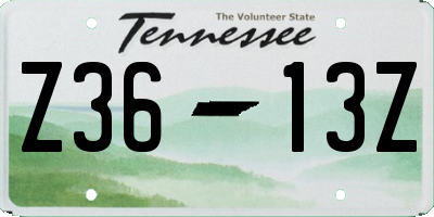 TN license plate Z3613Z