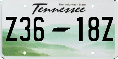 TN license plate Z3618Z