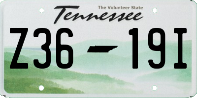 TN license plate Z3619I