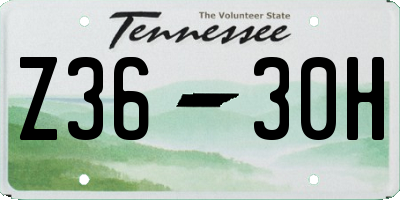 TN license plate Z3630H