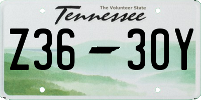 TN license plate Z3630Y