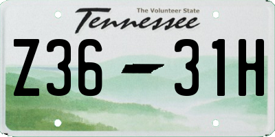 TN license plate Z3631H