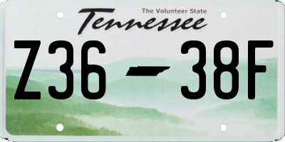 TN license plate Z3638F