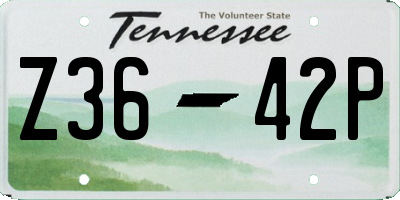 TN license plate Z3642P