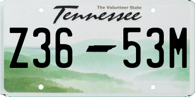 TN license plate Z3653M
