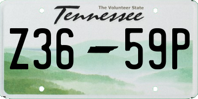 TN license plate Z3659P