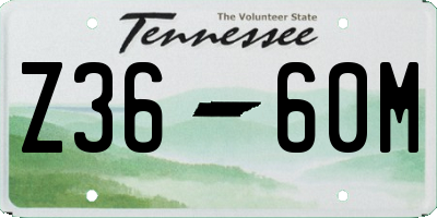 TN license plate Z3660M