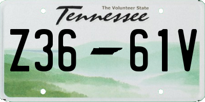 TN license plate Z3661V