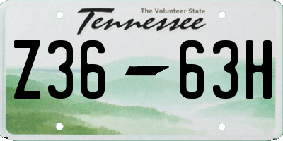 TN license plate Z3663H
