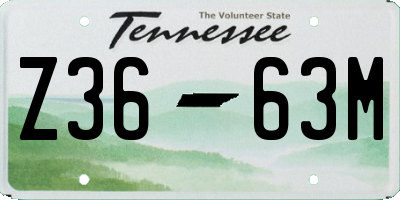 TN license plate Z3663M