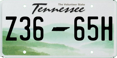 TN license plate Z3665H