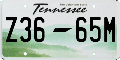 TN license plate Z3665M